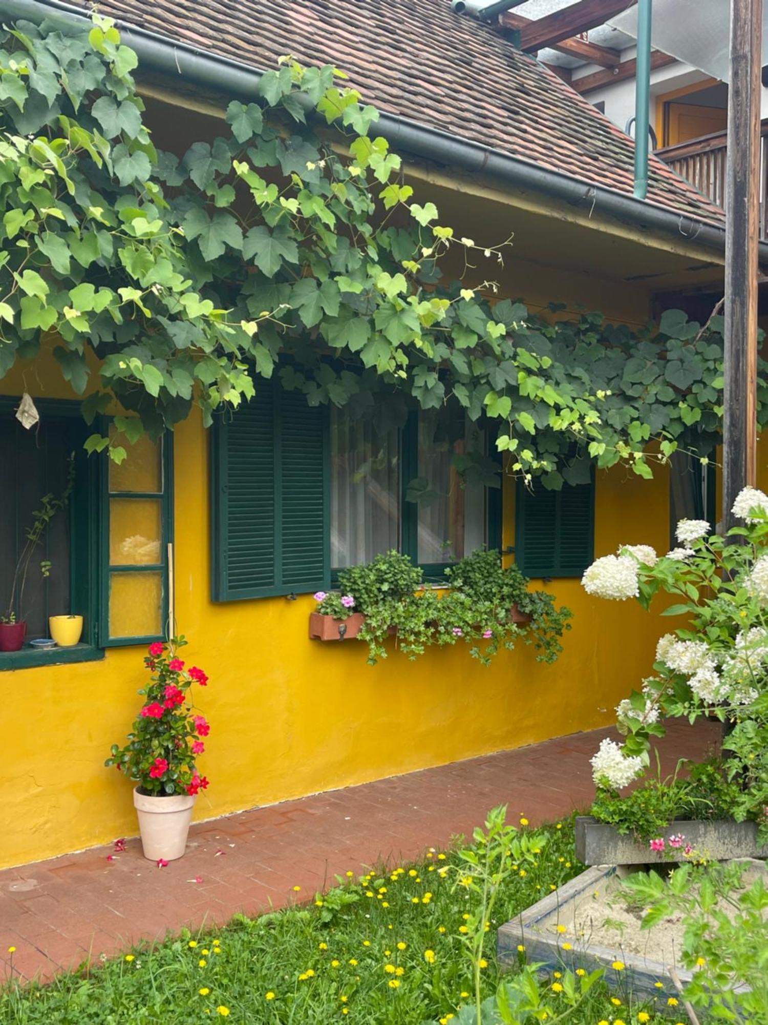 Landgasthof Zum Alten Weinstock Radafalva Kültér fotó